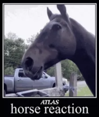 Atlas